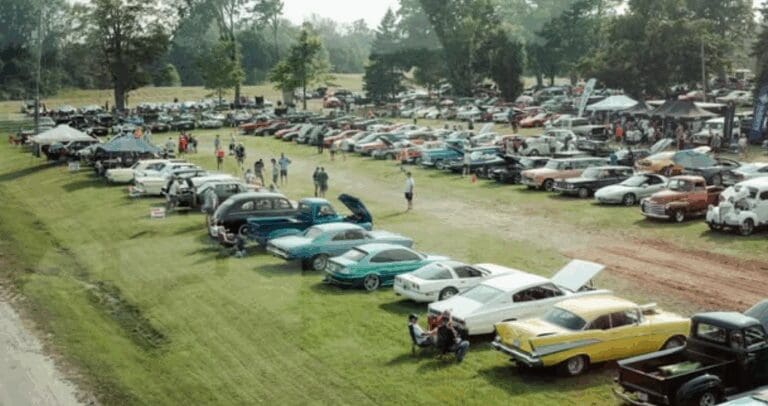 rows of classic cars are parked in an open field on a sunny day with trees in the horizon.