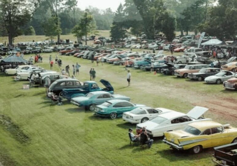 rows of classic cars are parked in an open field on a sunny day with trees in the horizon.